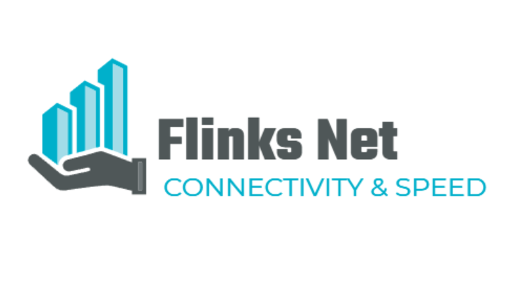 Flinks Net